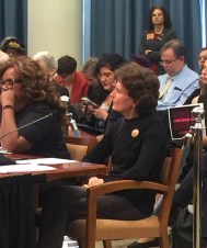 Rachel decrim hearing